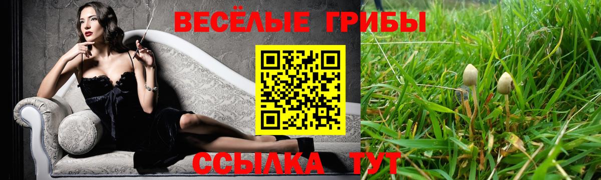 Псилоцибиновые грибы Cubensis Острогожск